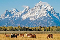 Wyoming