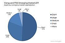 Vanguard FTSE Emerging Markets ETF