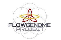 Flow Genome Project