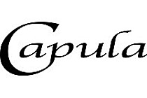Capula Investment Management
