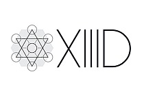 13D Global Strategy & Research