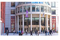 New York University