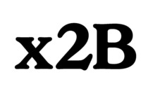 x2B