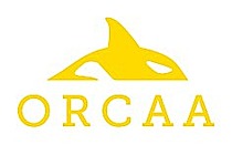 O'Neil Risk Consulting & Algorithmic Auditing