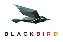 Blackbird plc